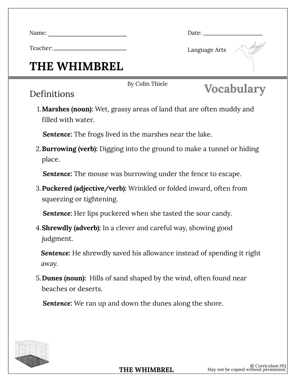 The Whimbrel