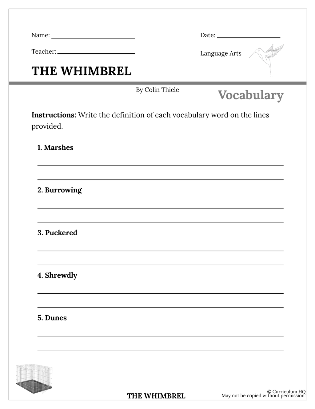 The Whimbrel