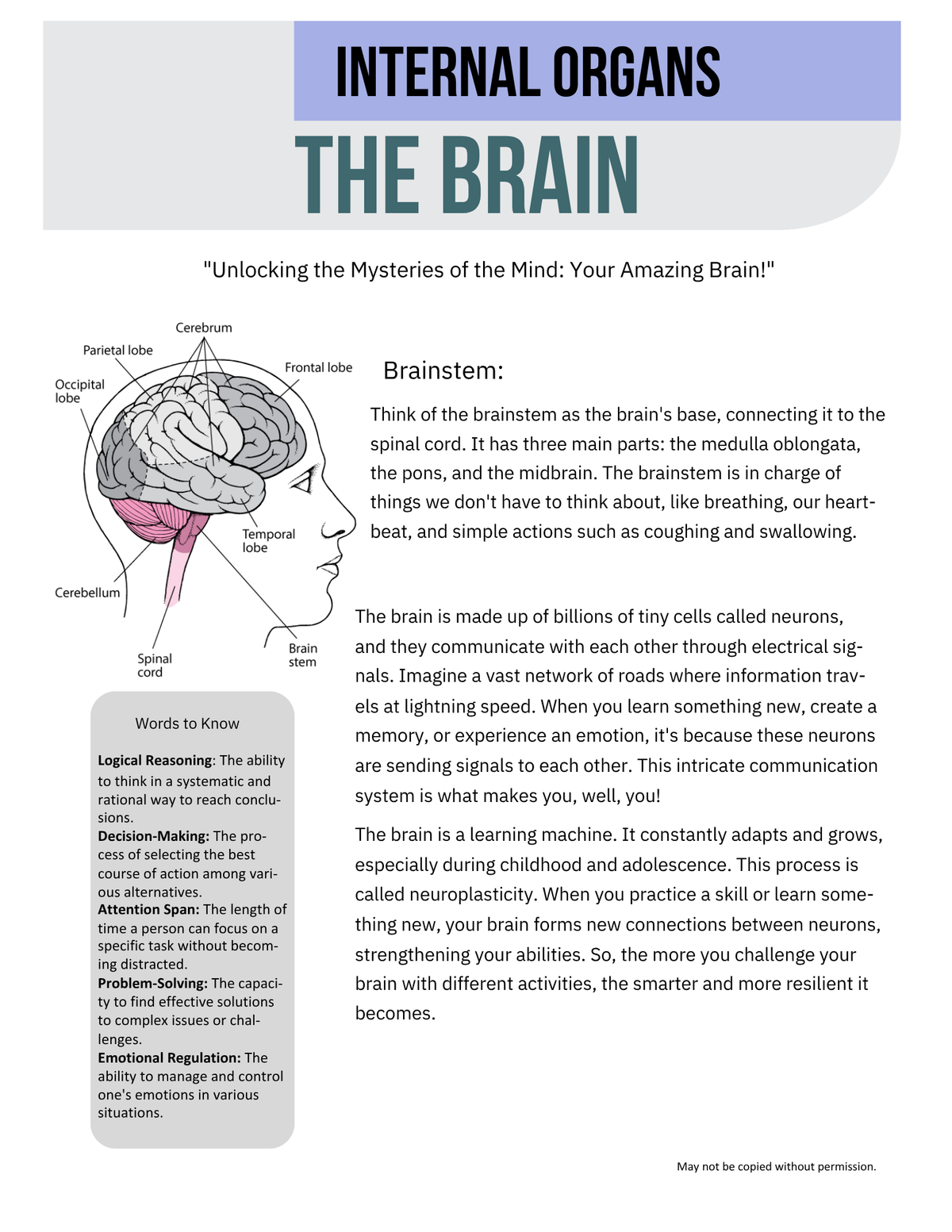The Brain {5-8}