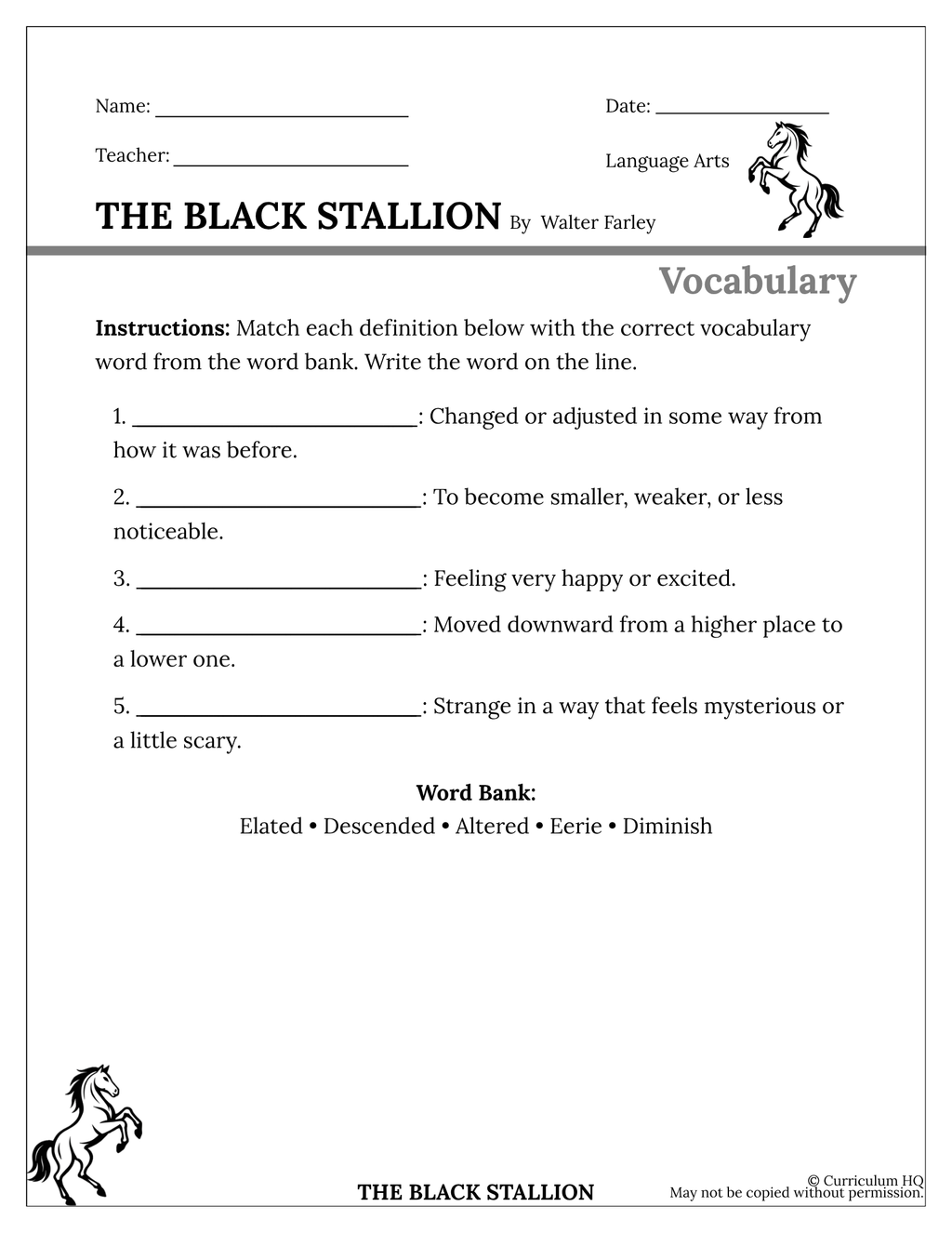 The Black Stallion