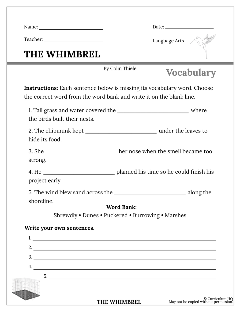 The Whimbrel