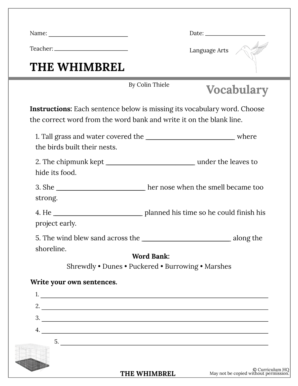 The Whimbrel