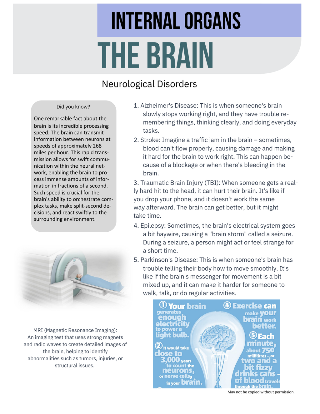 The Brain {5-8}