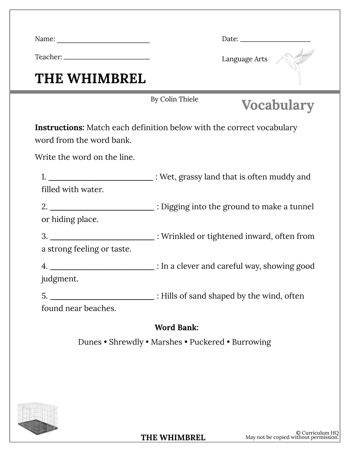 The Whimbrel