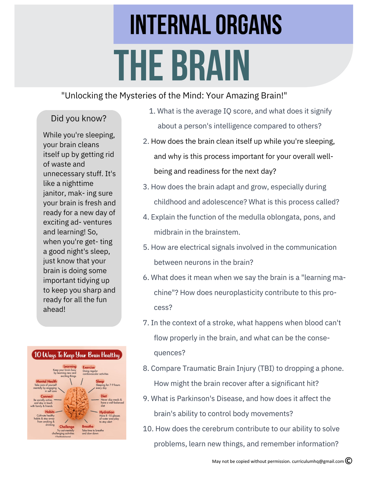 The Brain {5-8}