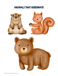 Animals that Hibernate {Pre K-K}