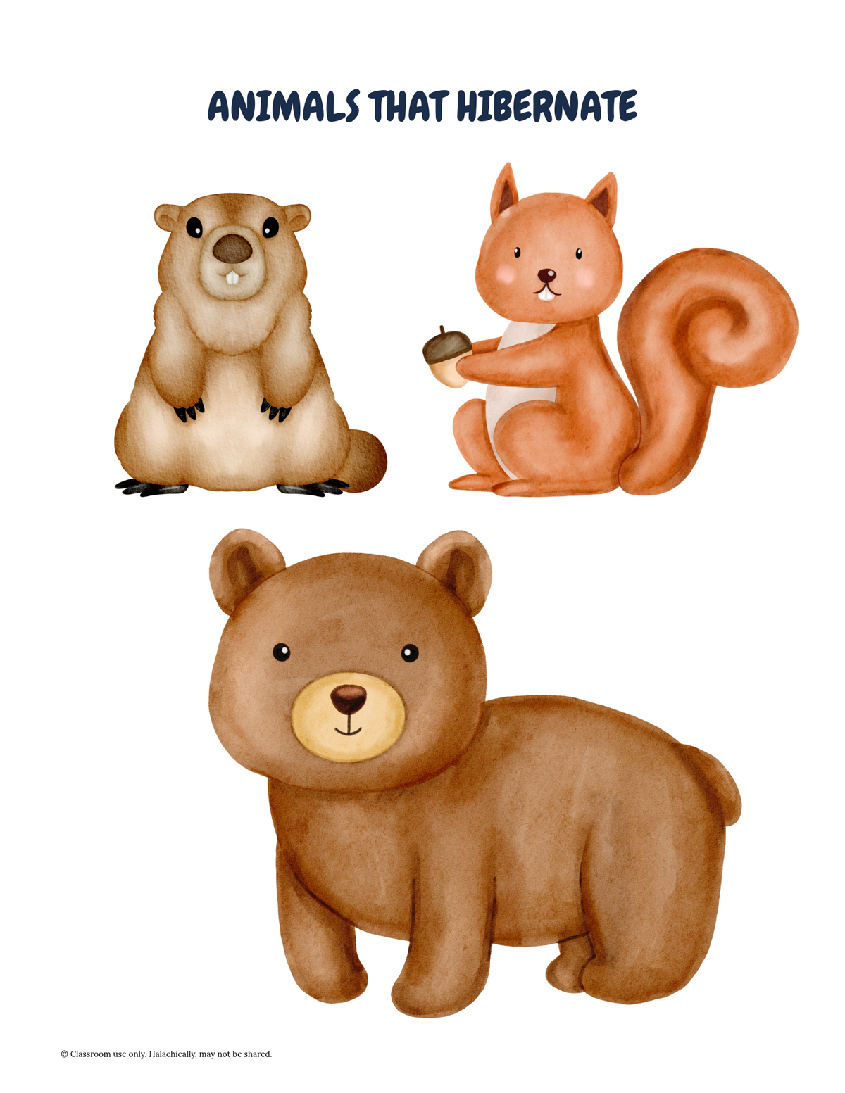 Animals that Hibernate {Pre K-K}